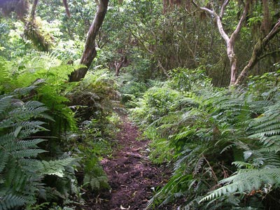 Galapagos Running Adventure