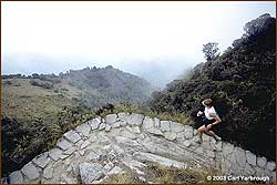 Runner on the Inca Trail