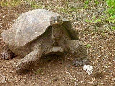 Galapagos Trekking Adventure