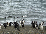 January 2008 – Patagonia Hiking Adventure