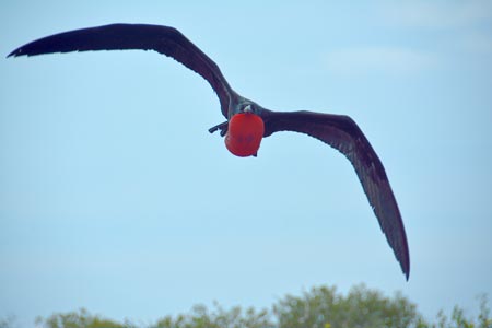 Galapagos Trekking Adventure