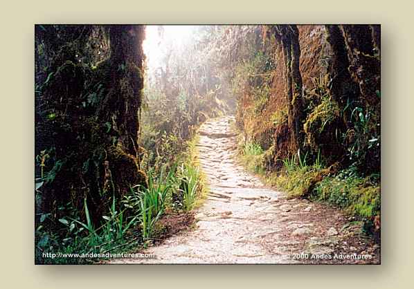 Images of the Andes