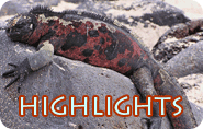 Galapagos Highlights