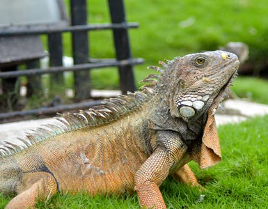 Galapagos Trekking Adventure