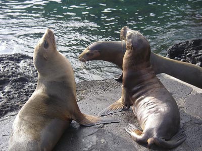 Galapagos Trekking Adventure