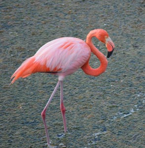 Galapagos Trekking Adventure