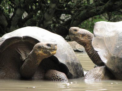 Galapagos Trekking Adventure