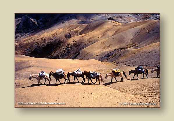 Images of the Andes