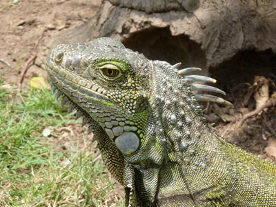 Galapagos Trekking Adventure