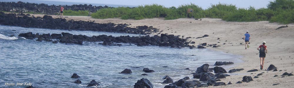 Galapagos running